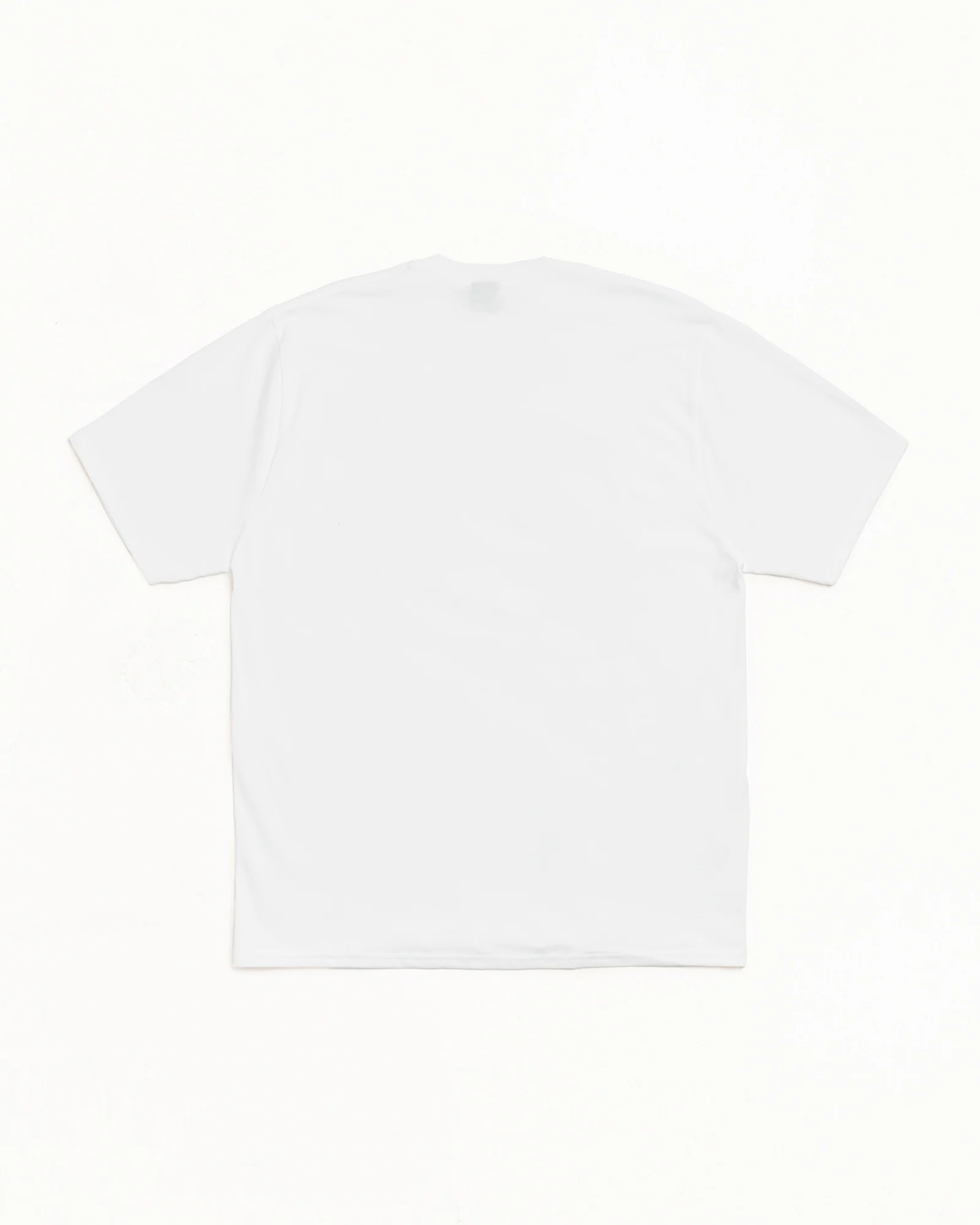 NO LOCUSTS TEE