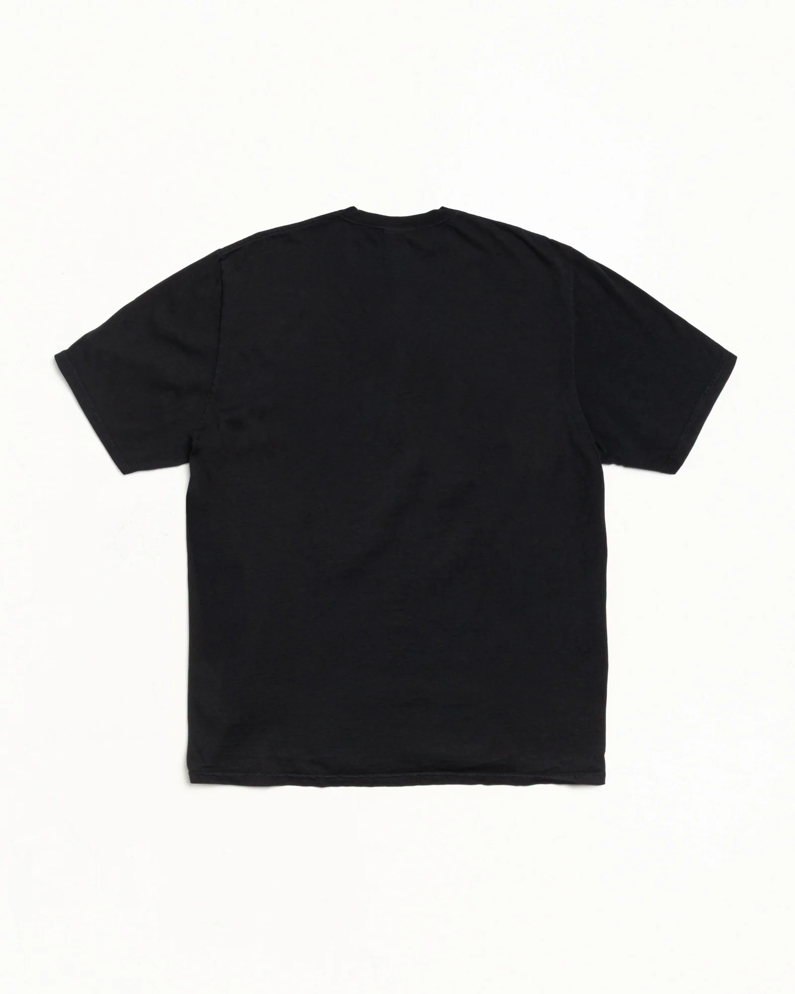 STATUE OF CHAMELEON TEE