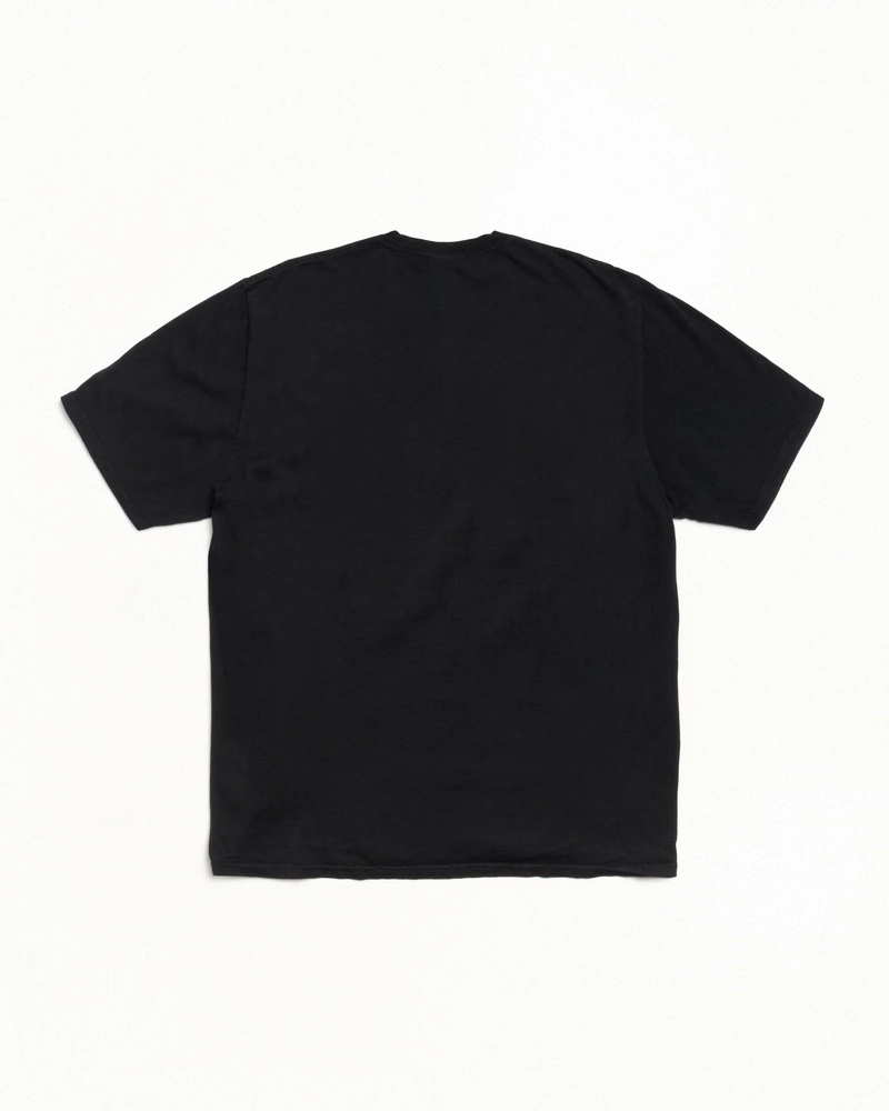 STATUE OF CHAMELEON TEE